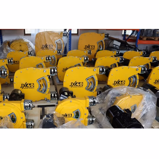 Pompa peristaltica industriale di alta qualità Jxhin con tubo di importazione personalizzato